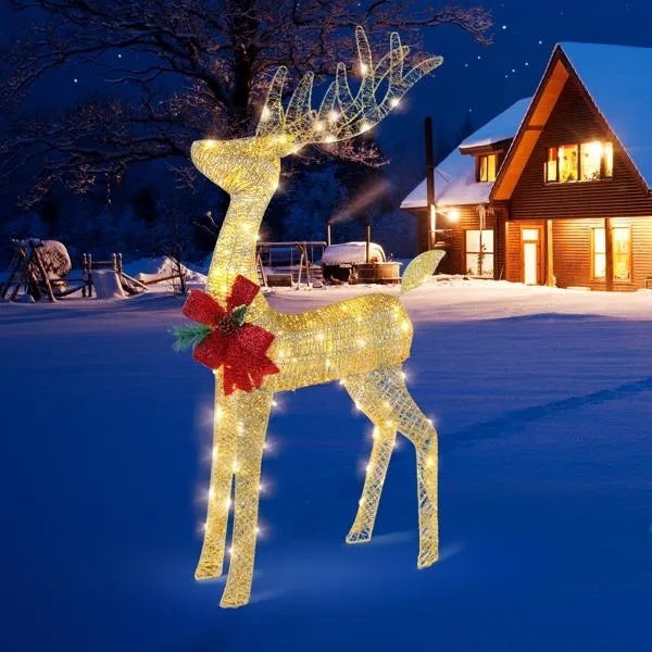 Lighted Christmas Reindeer Outdoor Decoration